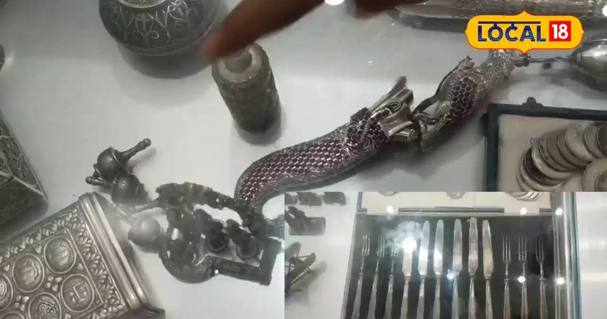 चाकू से लेकर चांदी की मछली तक, इस शख्स के पास है 500 साल पुरानी चीजों का अनोखा कलेक्शन, कीमत कर देगी हैरान