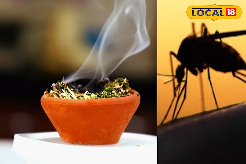 समाचार 18 