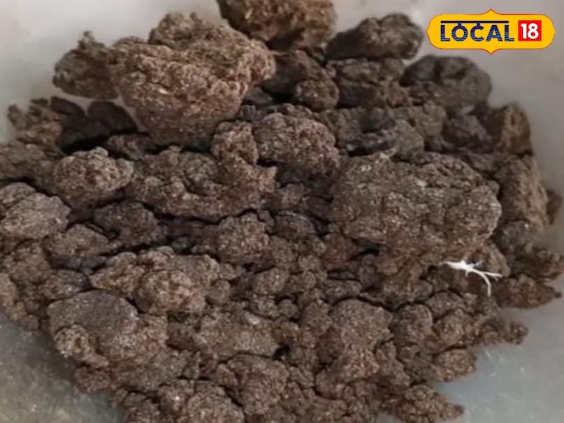 पाचन से लेकर वजन तक, चमत्कारी है यह आयुर्वेदिक औषधि, जानिए फायदे