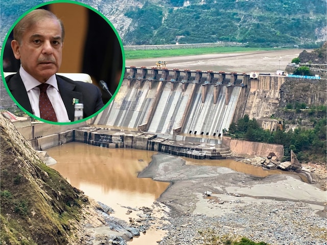 सिंधु जल समझौते पर भारत ने पाकिस्‍तान को UN में दिखाई औकात, टेंशन में शहबाज