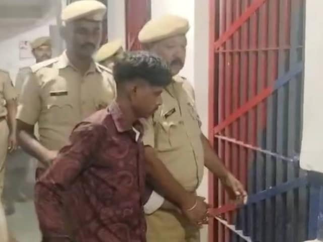 भाई -in -law एक भाई -इन -इन प्यार में प्यार, जंगल में परिष्करण की प्रेम कहानी बन गया भाई -in -law एक भाई -इन -इन प्यार में प्यार, जंगल में परिष्करण की प्रेम कहानी बन गया
