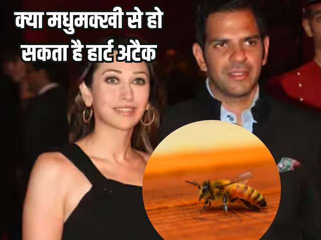 मधुमक्खी काटने से करिश्मा के Ex पति संजय कपूर का हार्ट अटैक से निधन, क्या ऐसा भी हो सकता है? कार्डियोलॉजिस्ट ने बताया रहस्य मधुमक्खी काटने से करिश्मा के Ex पति संजय कपूर का हार्ट अटैक से निधन, क्या ऐसा भी हो सकता है? कार्डियोलॉजिस्ट ने बताया रहस्य