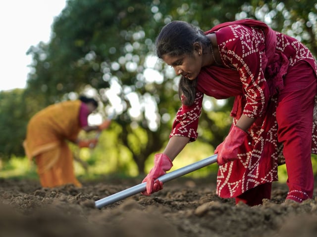 चाची के साथ खेत गई भतीजी, अचानक हो गई गायब, सुबह मिली ऐसी हालत में, फिर... चाची के साथ खेत गई भतीजी, अचानक हो गई गायब, सुबह मिली ऐसी हालत में, फिर...