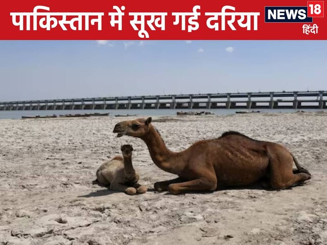 दरिया सूखी, डैम में पानी खत्‍म... पानी रोकते ही पाकिस्‍तान की हालत टाइट