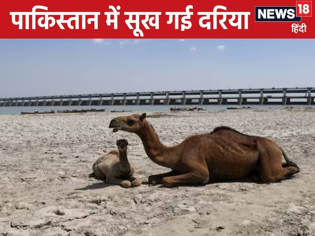 दरिया सूखी, डैम में पानी खत्म... पानी रोकते ही पाकिस्तान की हालत टाइट दरिया सूखी, डैम में पानी खत्म... पानी रोकते ही पाकिस्तान की हालत टाइट