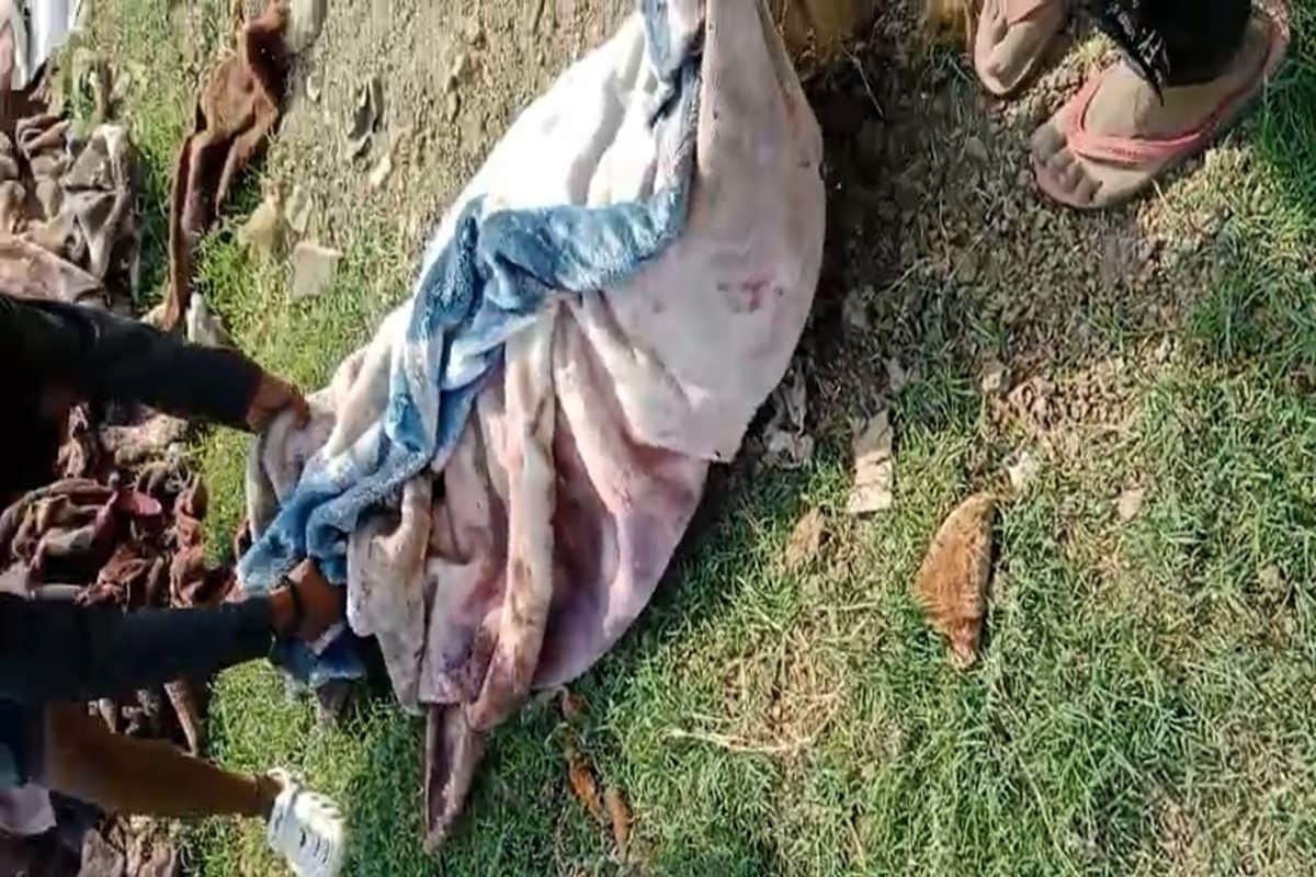 जर्मन शेफर्ड ने 5 साल के बच्चे को काटा गुस्साए परिजनों ने कुत्ते को मार डाला