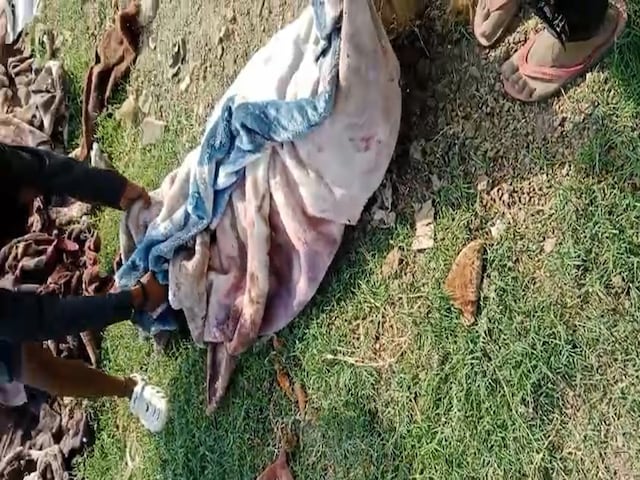 जर्मन शेफर्ड ने 5 साल के बच्चे को काटा, गुस्साए परिजनों ने कुत्ते को मार डाला जर्मन शेफर्ड ने 5 साल के बच्चे को काटा, गुस्साए परिजनों ने कुत्ते को मार डाला