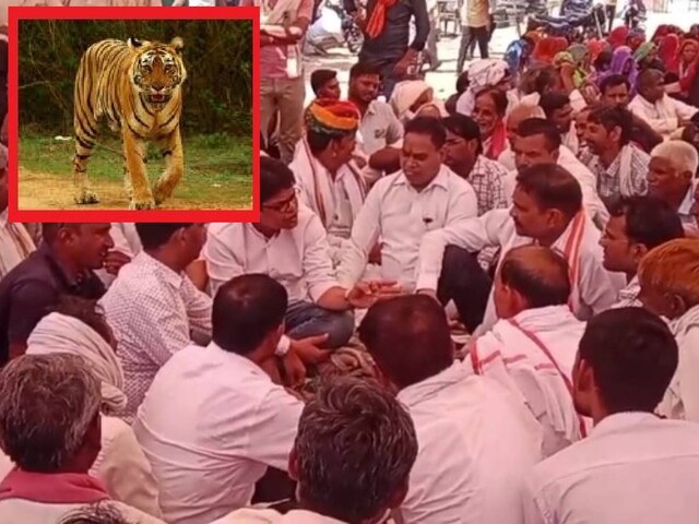  खौफ ने उड़ाई इंसानों और वन विभाग की नींद, दोष किसका?