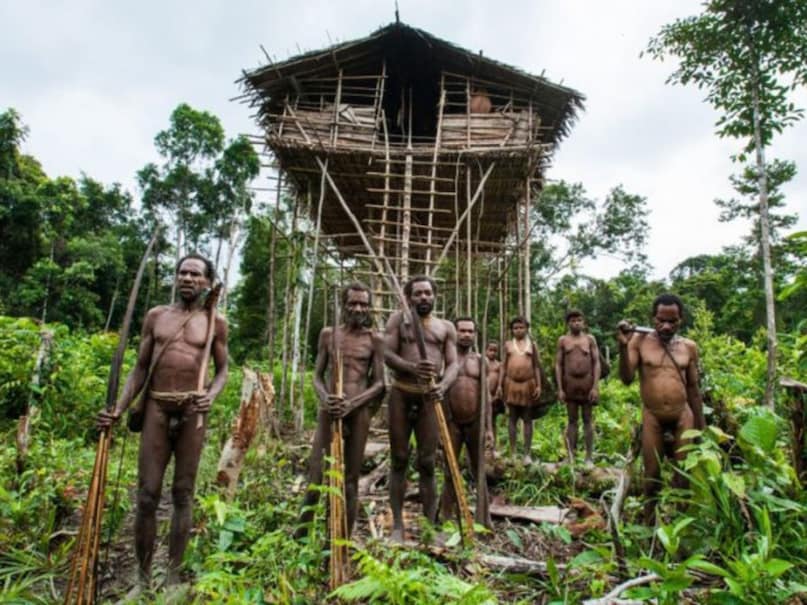 The tribes that meet the outside world after 55000 years ... still live on trees and stay on trees 3
