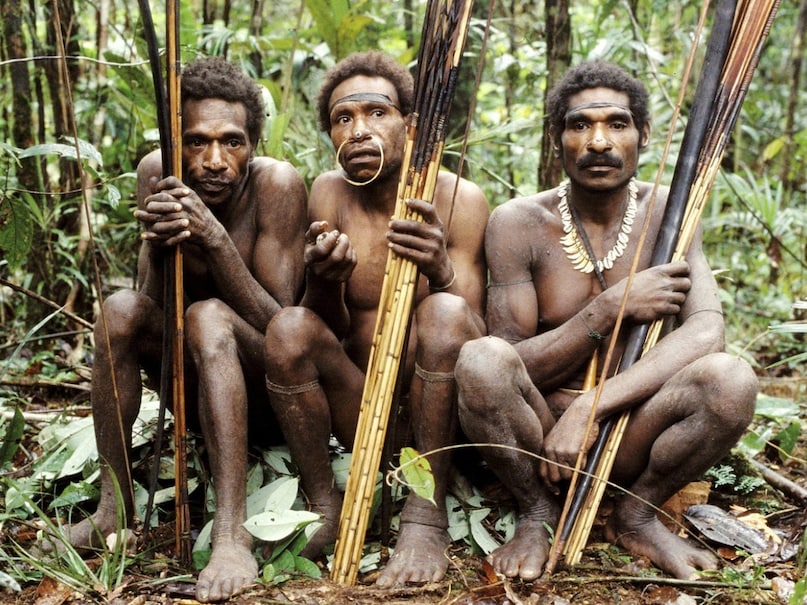 The tribes that meet the outside world after 55000 years ... still live on trees and stay on trees 2