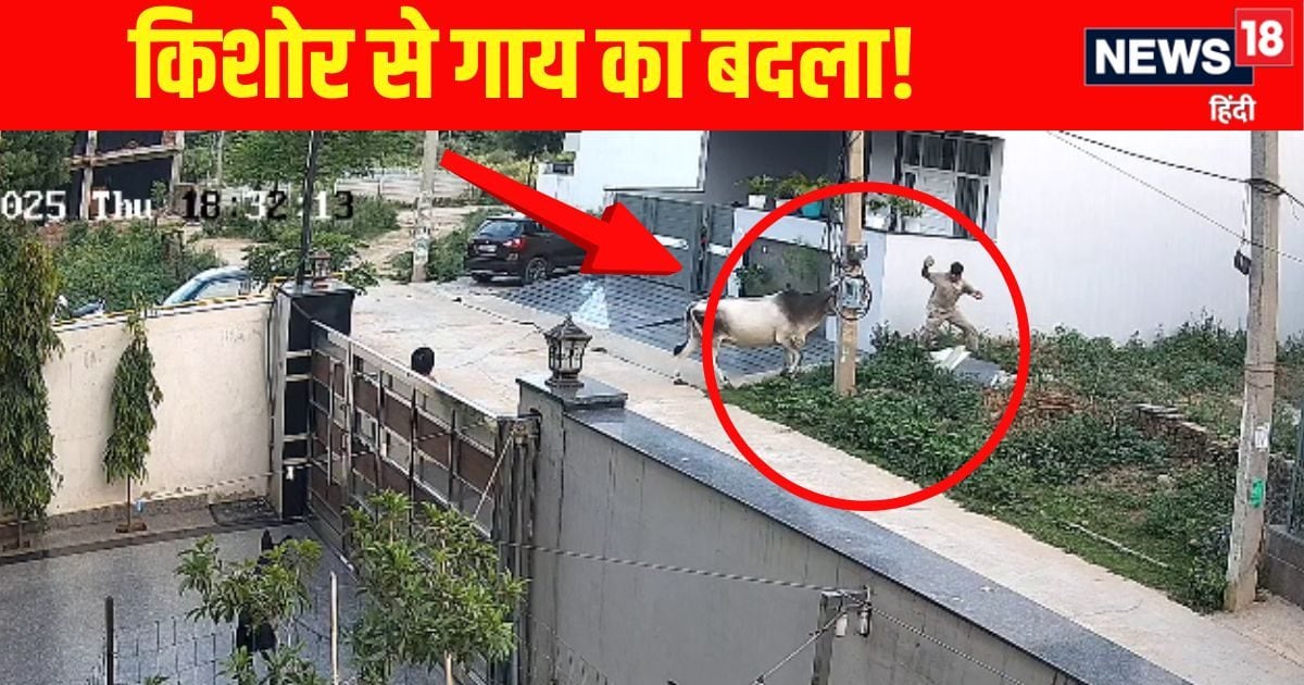 हैरान करने वाली VIDEO: बुलेट सवार लड़के के ऐसे पीछे पड़ी गाय…मानो ले रही हो बदला, बार-बार करती रही हमला, युवक बचाने आए फिर भी नहीं मानी