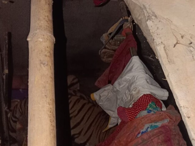 Tiger entered inside this house of Ranchi, people locked the room from outside, stirred up the room