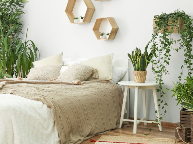 Remove these 3 things immediately from your bedroom, waste these 3 things Remove these 3 things immediately from your bedroom, waste these 3 things