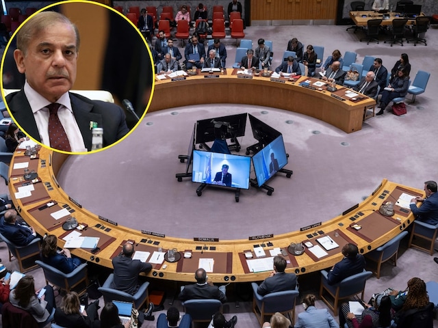 शहबाज शरीफ ने दिन में देखा ख्‍वाब, UNSC में चकनाचूर, कई मेंबर भी नाराज