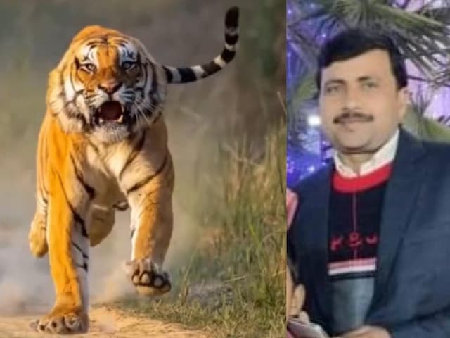 खेत में सिंचाई कर रहा था किसान, अचानक झाड़ियों से निकली 'मौत', फिर मच गई दहशत खेत में सिंचाई कर रहा था किसान, अचानक झाड़ियों से निकली 'मौत', फिर मच गई दहशत