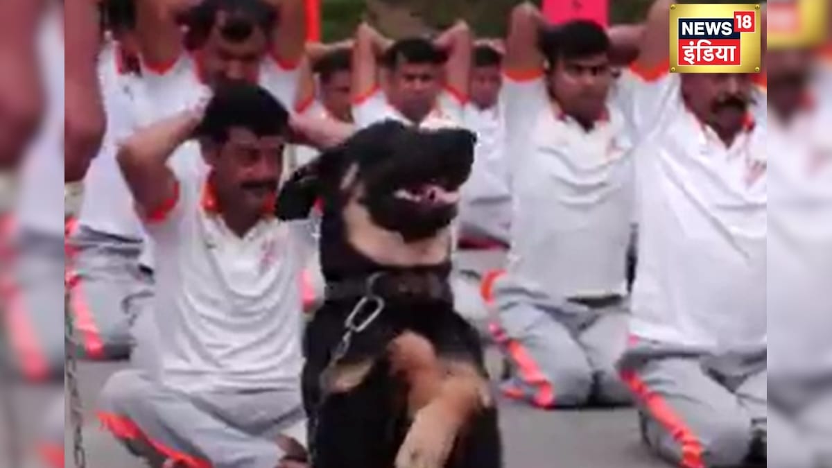 डॉगी पर भी छाया योग का खुमार, वीडियो देख कहेंगे- गजब! – News18 हिंदी