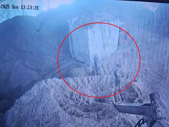 कार्यकर्ता कारखाने में चारा को हटा रहे थे, अचानक बवासीर में सौंप दिया, वहाँ अराजकता थी कार्यकर्ता कारखाने में चारा को हटा रहे थे, अचानक बवासीर में सौंप दिया, वहाँ अराजकता थी
