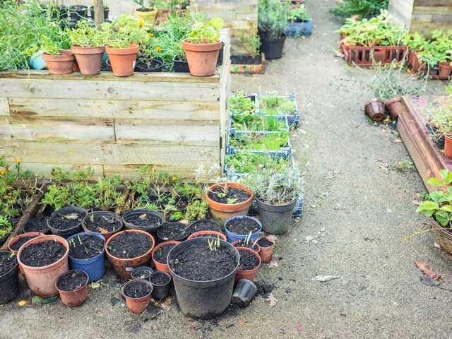 One night widowed woman stopped at Saheli, when the house reached the morning, the garden flew, the garden