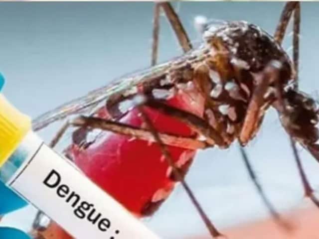 डेंगू से अब नो डर! 'नक्षत्र' से लगेगा ब्रेक, जल्द मिलेगी पहली स्वदेशी वैक्सीन डेंगू से अब नो डर! 'नक्षत्र' से लगेगा ब्रेक, जल्द मिलेगी पहली स्वदेशी वैक्सीन