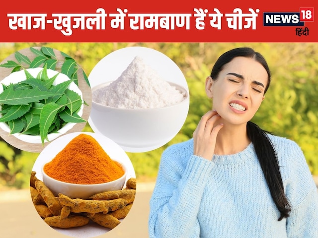 Are you getting upset due to scabies in the rain? Follow 5 effective home remedies Are you getting upset due to scabies in the rain? Follow 5 effective home remedies