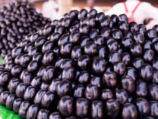 यह चमत्कारी फल केवल बारिश में पाया जाता है, चीनी बम्बल से गिरती है