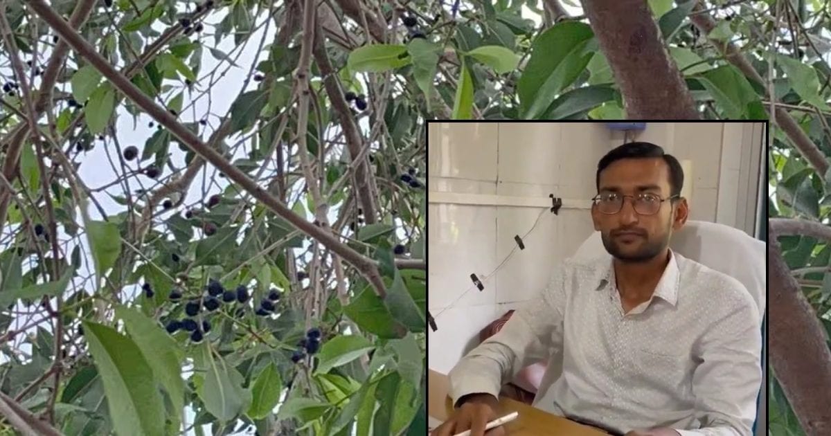 जामुन का फल ही नहीं, बीज भी बहुत कमाल होता है…फायदे एक नहीं अनेक हैं