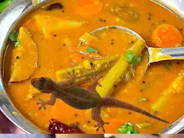 पति ने छिपकली की सब्जी को डांटा, उसके नाना ने उसके बेटे को पीटा - पति ने छिपकली की सब्जी को डांटा, उसके नाना ने उसके बेटे को पीटा -