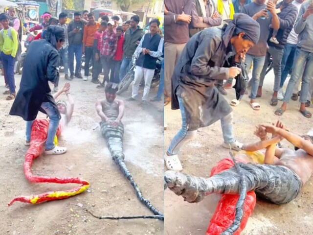 फिल्मी धुन पर नाचते दिखे इच्छाधारी नाग और नागिन, लोग बनाने लगे वीडियो!