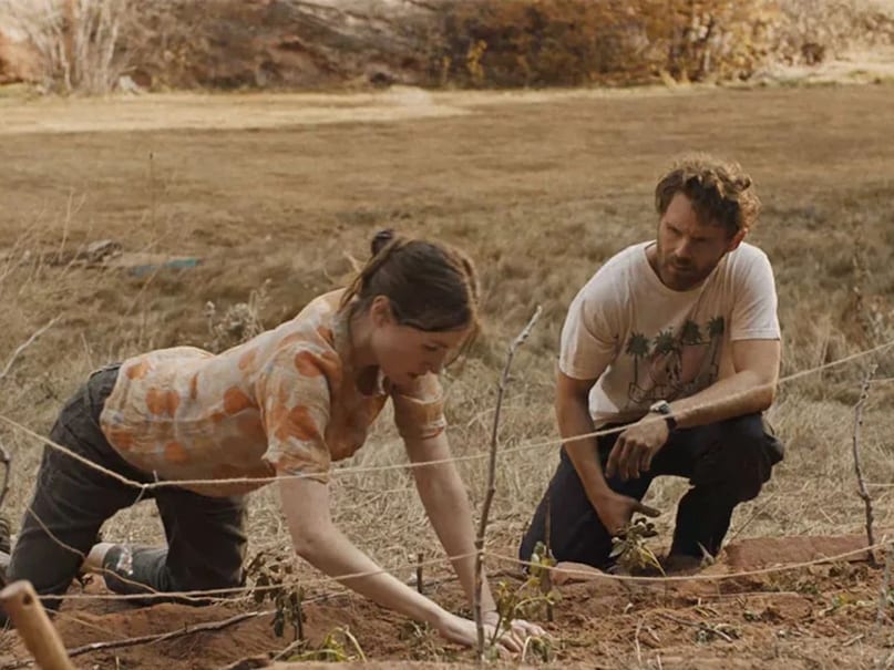 the seeding movie-2025-06-4ca32bf75060c317549e182b4c17311e the seeding movie-2025-06-4ca32bf75060c317549e182b4c17311e