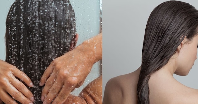 Avoid these mistakes during wet Hair: गीले बालों की देखभाल के लिए  महत्वपूर्ण टिप्स. - News18 हिंदी