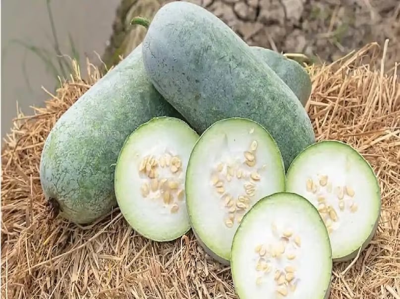 Peetha Ke Fayde, Kumhda Health Benefits, Ash Gourd Juice Benefits, How to Eat Ash Gourd, Weight Loss Vegetables India, Natural Remedy For Accidity, Glowing Skin Skin Skin Skin Skin Skin Skin Skin Skin. Food, Healthy Indian Vegetables Peetha Ke Fayde, Kumhda Health Benefits, Ash Gourd Juice Benefits, How to Eat Ash Gourd, Weight Loss Vegetables India, Natural Remedy For Accidity, Glowing Skin Skin Skin Skin Skin Skin Skin Skin Skin. Food, Healthy Indian Vegetables