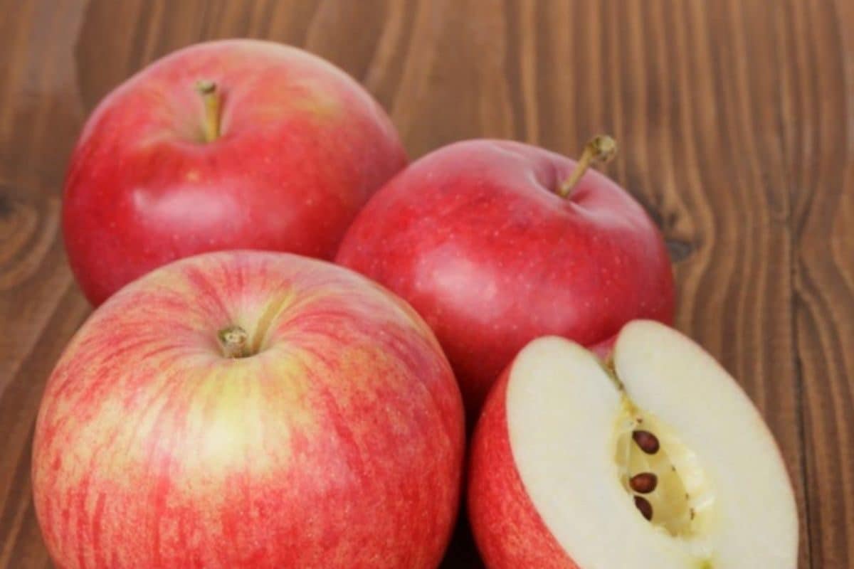 असली सेब की पहचान कैसे करें? सिंपल टिप्स से सही और नकली में अंतर समझिए