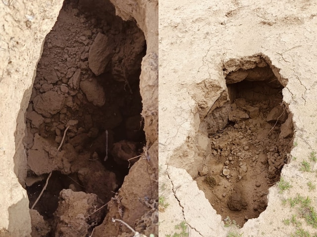 Land near Mangla Valpaid-7 in Barmer, atmosphere of fear in local people