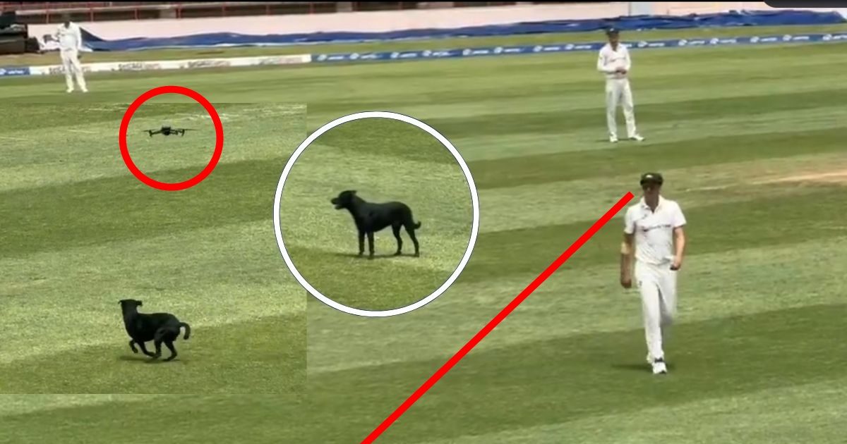 WI vs AUS Dog: काले कुत्ते ने रोका मैच, मैदान से भगाते रहे खिलाड़ी, लेकिन डॉगी ने एक न सुनी फिर ड्रोन आया काम