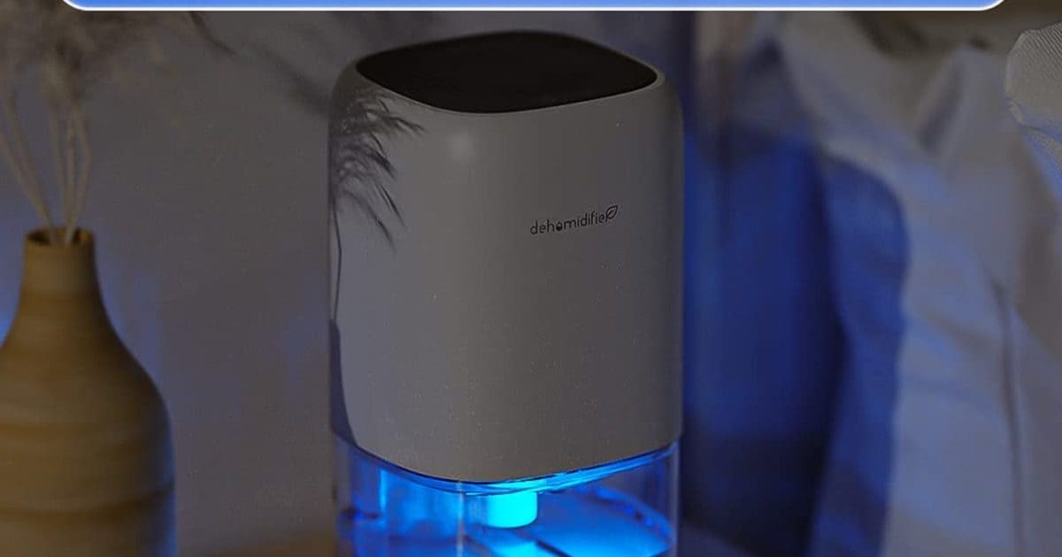 Tach – चिपचिपी गर्मी में उमस को छूमंतर कर देगा ये छोटू सा डिवाइस, ऑन करते ही AC की तरह देगा ठंडक!- ac like device under 10000 dehumidifier cools room like air conditioner in humidity monsoon weather