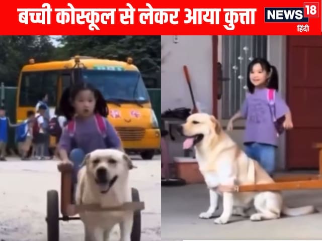 स्कूल से बाहर आई छोटी बच्ची, इंतजार कर रहा था कुत्ता, गाड़ी खींचकर पहुंचाया घर स्कूल से बाहर आई छोटी बच्ची, इंतजार कर रहा था कुत्ता, गाड़ी खींचकर पहुंचाया घर