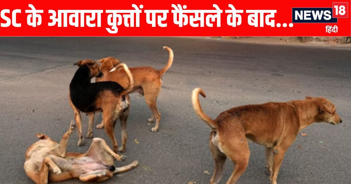 सुप्रीम कोर्ट के जिस फैसले से देशभर के लोग हुए गदगद, उसके ही कुछ घंटे बाद भौंकते कुत्ते को शांत करने पर कट गई नाक