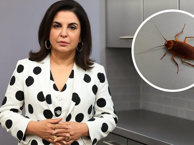 Farah Khan was disturbed by cockroach, changes in kitchen, insects dismantled
