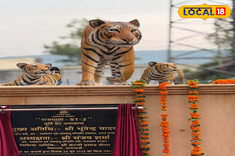 राजमत टाइग्रेस 