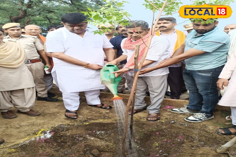 अलवर में टाइग्रेस एसटी -2 के सम्मान में स्मारक अलवर में टाइग्रेस एसटी -2 के सम्मान में स्मारक