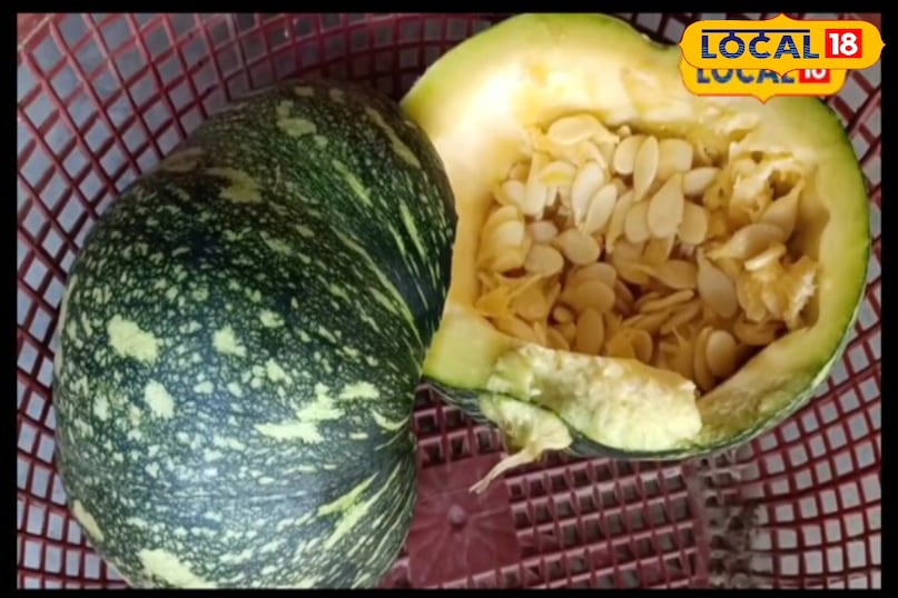 Moradabad News, Hindi News, Up News, Local News, Moradabad News, Hindi News, UP News, Local News. Moradabad News, Hindi News, Up News, Local News, Moradabad News, Hindi News, UP News, Local News.