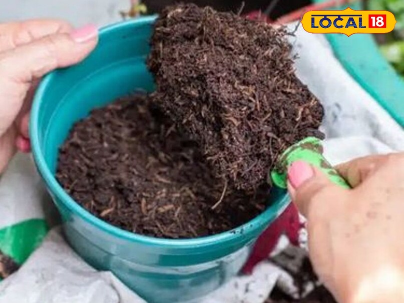 आर्गेनिक खाद 