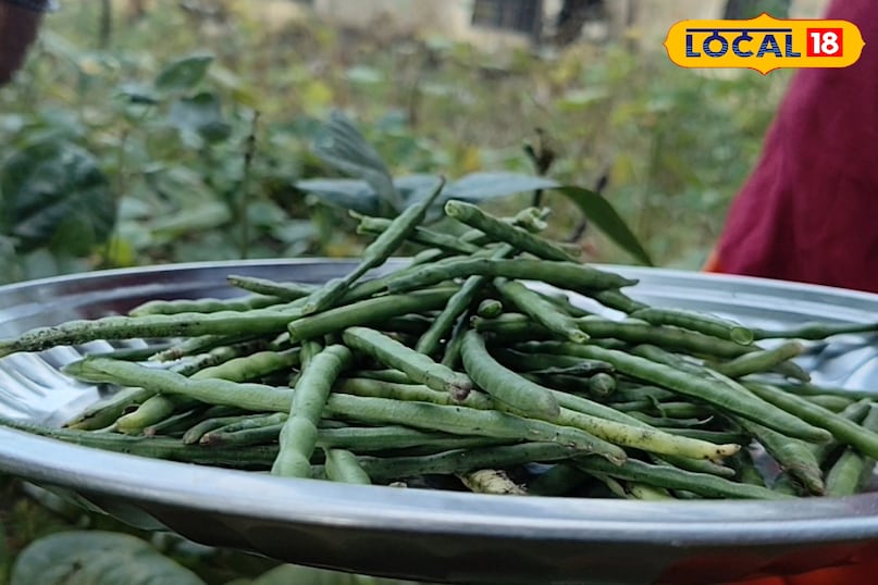 स्वास्थ्य युक्तियाँ स्वास्थ्य युक्तियाँ