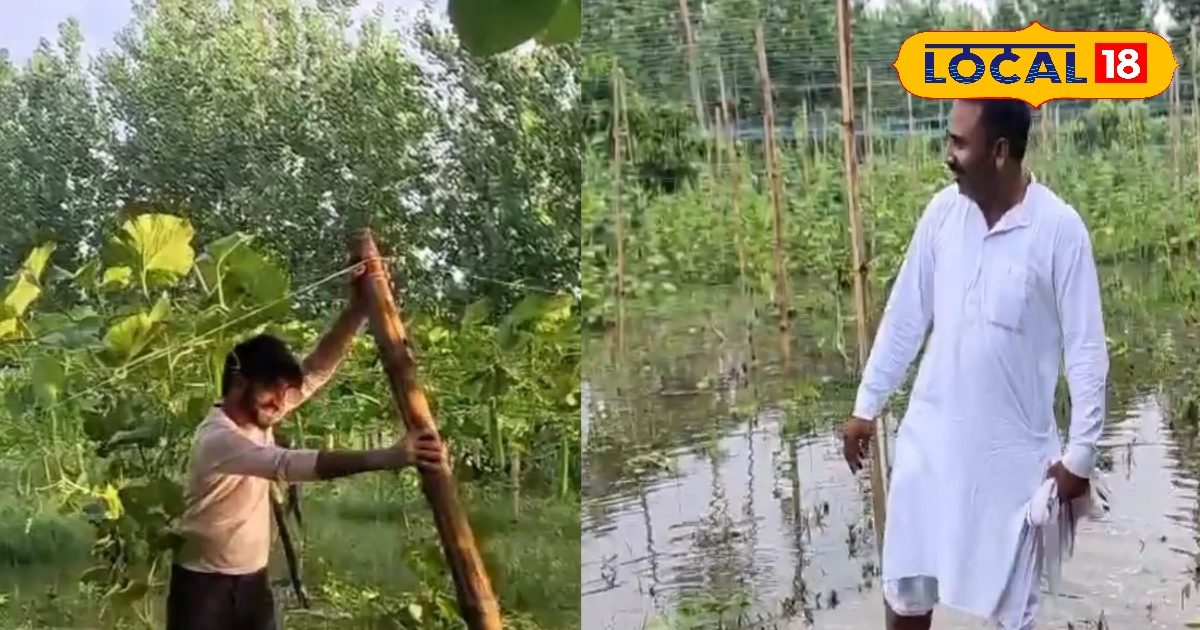 Ground Report: सहारनपुर में बारिश से तबाही! खेतों में सड़ी सब्जियां, मंडियों में लगी महंगाई की आग, जानिए रेट
