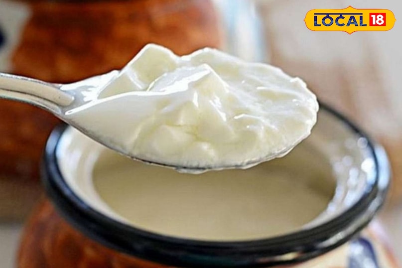 curd, how to make curd, Dahi, Dahi jamane ka tarika, दही, दही जमाने का तरीका, दही कैसे जमाते हैं, दही जमाने की विधि, recipe of curd, how to make curd thicker like market, how to make curd like halwai, how to make curd like dairy, how to make curd like amul, how to make curd easy, curd, how to make curd, Dahi, Dahi jamane ka tarika, दही, दही जमाने का तरीका, दही कैसे जमाते हैं, दही जमाने की विधि, recipe of curd, how to make curd thicker like market, how to make curd like halwai, how to make curd like dairy, how to make curd like amul, how to make curd easy,