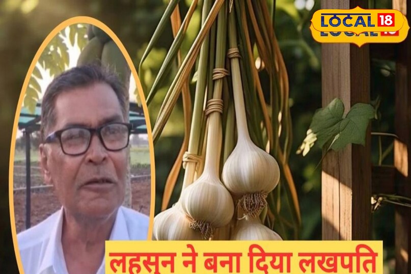 लहसुन ने बनाया मालामाल लहसुन ने बनाया मालामाल