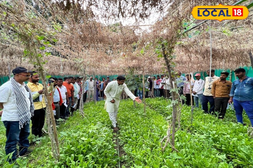 विदेश में प्रशिक्षण दिया विदेश में प्रशिक्षण दिया