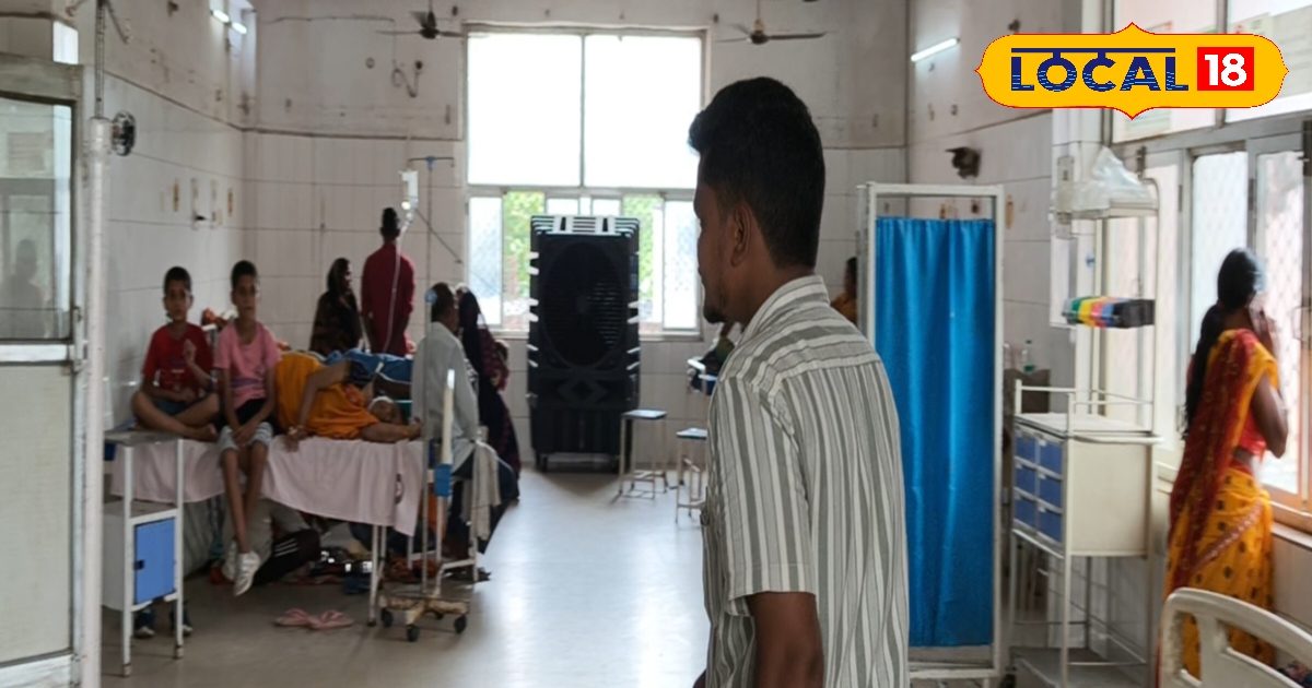 अब होगा बीपी का जड़ से खात्मा, नहीं खानी पड़ेगी दवाई.. यहां जानें बिल्कुल फ्री वाला इलाज