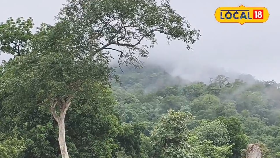 CG Weather Alert: अगले 3 दिन सावधान रहें! बिलासपुर सहित इन जिलों में तेज बारिश