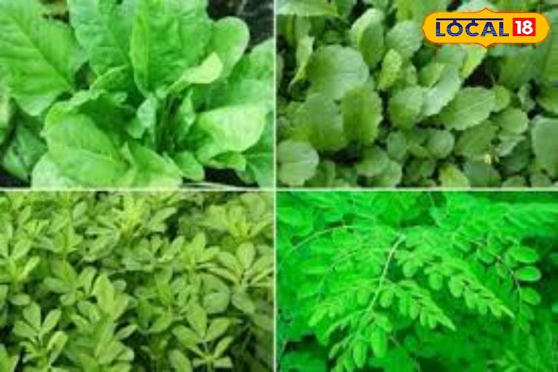 स्थानीय 18 स्थानीय 18